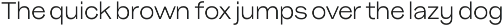 Pampero | Modern Display & Text Sans preview