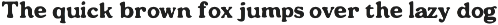 Marhaen - Vintage Slab Serif preview