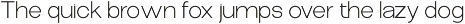 The Talk Sans Serif Font Family preview