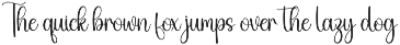 Elegant Embroidery | Script Font preview