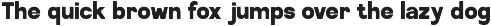 Monilora - Bold Modern Font preview