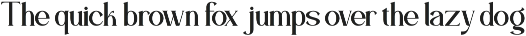 Bravillie - Serif Typeface Font preview