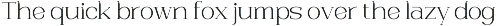 Trotty Elegant Serif Font Family preview