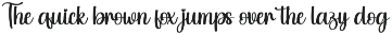 Santa Chubby | Script Font preview