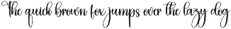 Starkly | Script Font preview