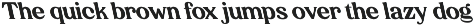 CS Risotto – Retro Serif Font preview