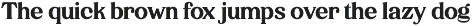 CS Risotto – Retro Serif Font preview