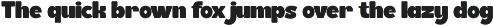 Brons - Bold Display Sans Serif Font font preview