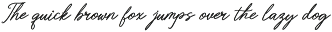 Whimsy Bittersweet Handwritten preview