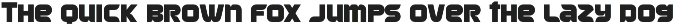 RANCELO - BOLD DISPLAY FONT preview