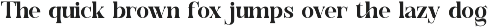Ebotra || Modern Classy Serif Font preview