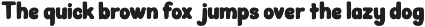 Bomega - Food Branding Bold Font preview