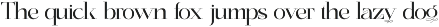 Dynasty - Curly Display Serif preview