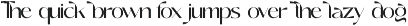 Goldfish - Elegant & Chic Sans Serif preview