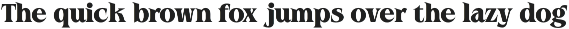 Rocavio - Prestige Serif preview