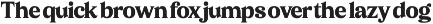 Sonttak Bold Retro Display Serif preview