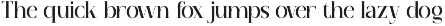 Regata - Elegant Serif Display Font preview