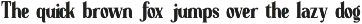 Styvia Logo Font preview