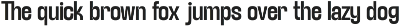 TRT Lancelot Condensed Font Family preview