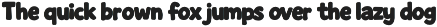SoftSketch - Warm Organic Fonts preview
