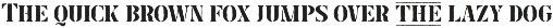 Exiger preview