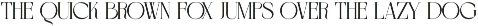 BERBERIS - Display Unique Serif preview