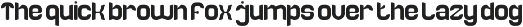Record moment font preview