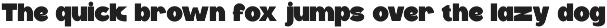 Boldspin - Sans Display preview