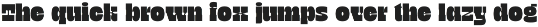 TNSC Bink - Slab Serif Display preview