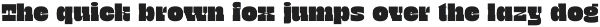 TNSC Bink - Slab Serif Display preview