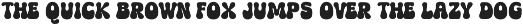 Coasta Soul - Groovy Display Font preview