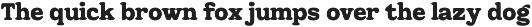 Retro Brunch Serif - Display Font preview