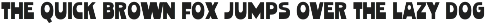 Palm Coast - Bold Retro Display Font preview