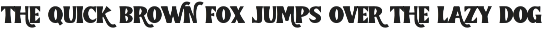 Howdy Rodeos - Display Serif Font preview