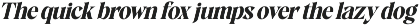Avingal New Serif Bold Display preview
