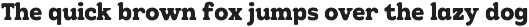 Juicy Fruti - Bold Retro Display Fon preview