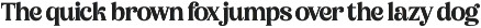 Bikers Groovy Retro Serif Font preview