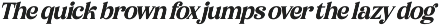 Bikers Groovy Retro Serif Font preview