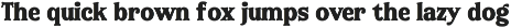Sweet Chickin - Serif Display Font preview