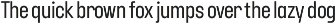 YNF Dustin | Condensed sans serif preview