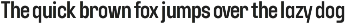 YNF Dustin | Condensed sans serif preview