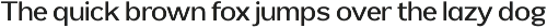 Reang Lanira - Modern Sans Serif preview