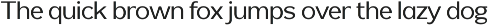 Reang Lanira - Modern Sans Serif preview