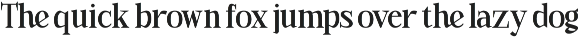 Bonemerch - Modern Gothic Serif Font preview