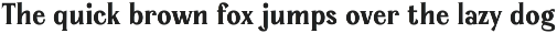 Serelia Serif Family | Intro 60% OFF preview