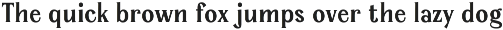 Serelia Serif Family | Intro 60% OFF preview