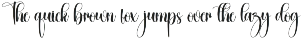 Surfing | Script Font preview