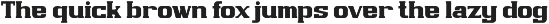 Corvex Modern Corporate Slab Serif preview