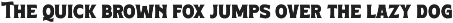 Boldern – Retro Serif Font preview