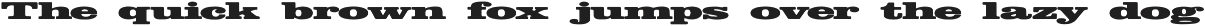 AIDER - Bold Retro Slanted Display font preview